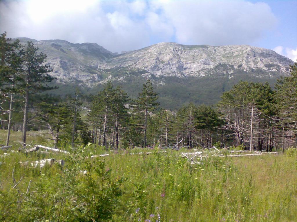 Lana Starigrad Paklenica