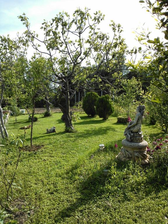 Lana Apartma Starigrad Paklenica