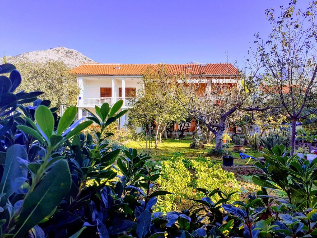 Apartma Lana